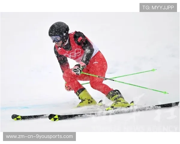 世界高山滑雪赛道生态修复资金申请受理公告,国家高山滑雪中心赛道 世界高山滑雪赛道生态修复资金申请受理公告,国家高山滑雪中心赛道